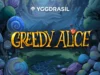 Greedy Alice — обзор слота (Yggdrasil) Greedy Alice — обзор слота (Yggdrasil)