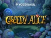 Greedy Alice slot game by Yggdrasil